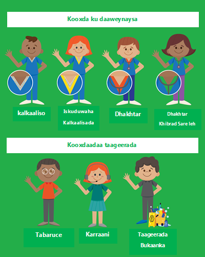 Meet your treating team (Somali language)