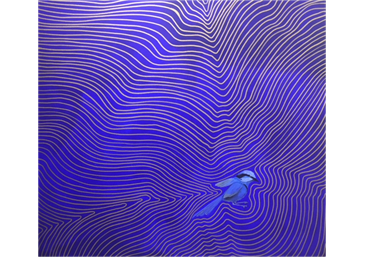 Chirriger Nanap (Blue Wren Braking), 2017 by Peter Farmer Snr