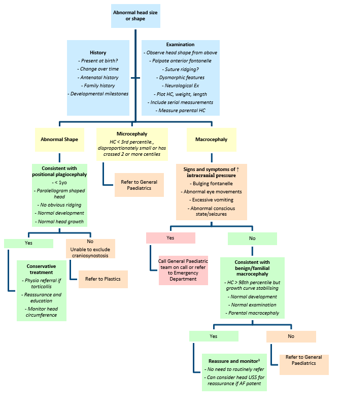 Head shape and size abnormalities - Appendix 1 Head Shape