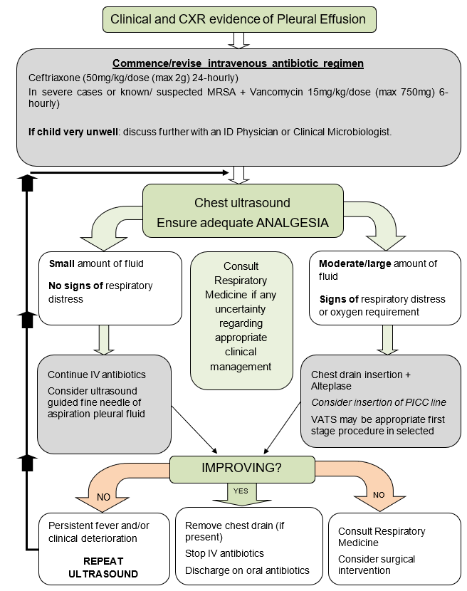 Quick guide to pleural empyema