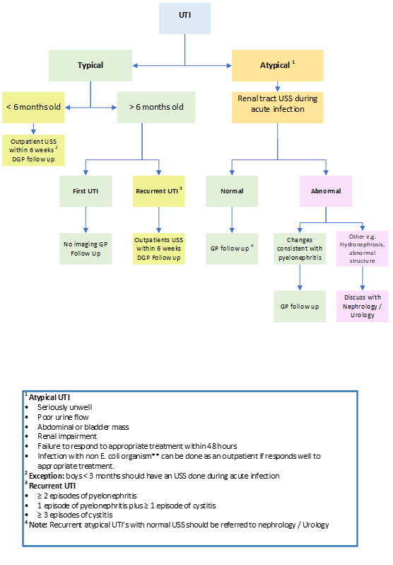 Urinary tract infection investigations flowchart
