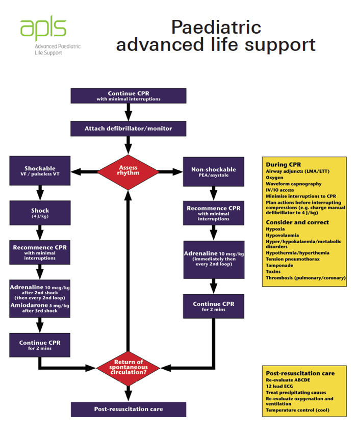 ALPS Paediatric Advanced Life Support Algorithm
