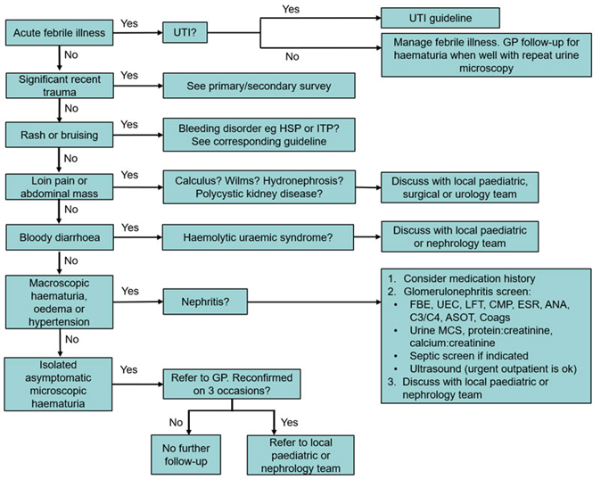 Microscopic Haematuria Pre-referral Management